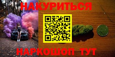 крисы Шелехов