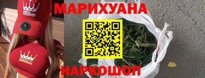 крисы Шелехов