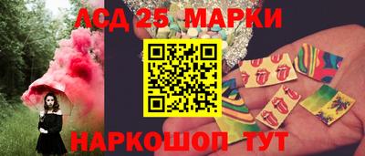 крисы Шелехов