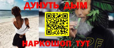 крисы Шелехов