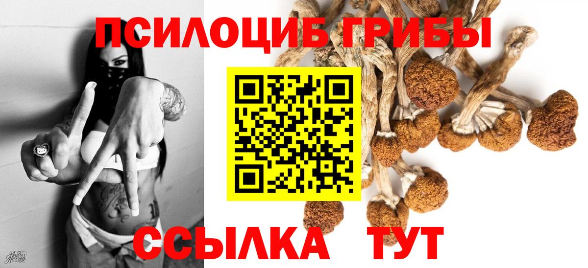 где продают   Галлюциногенные грибы MAGIC MUSHROOMS  Сегежа  Вход с VPN  Галлюциногенные грибы Psilocybe 